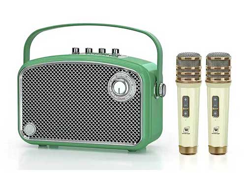 Loa xách tay WinBridge L200, 2 mic UHF