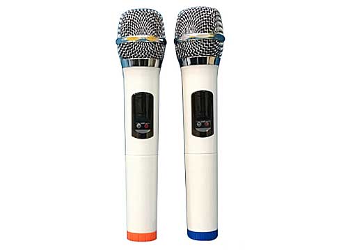 Microphone đa năng Temeisheng W-58