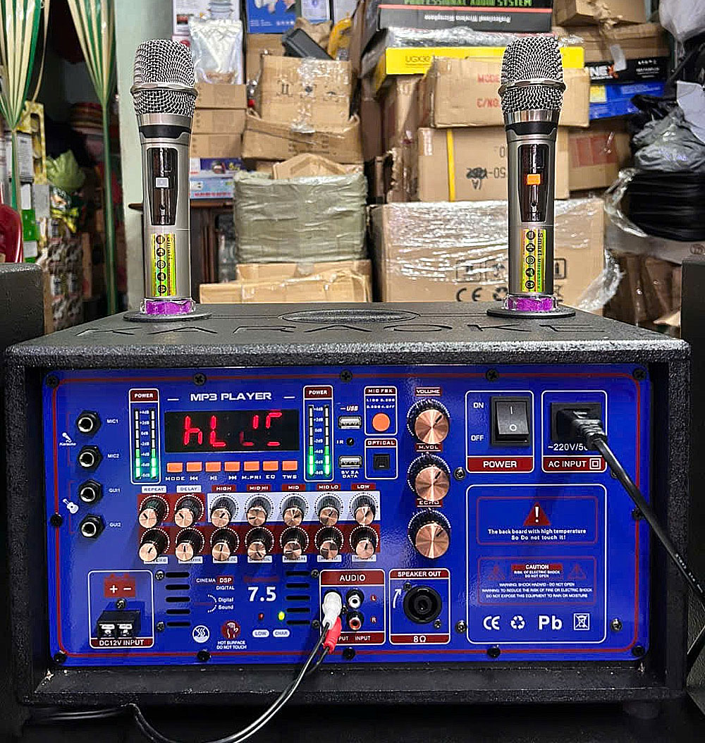Bộ karaoke di động cho xe hơi, kèm 2 mic UHF
