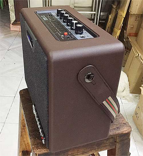 Loa bluetooth karaoke Ananax N01, kèm 2 micro không dây