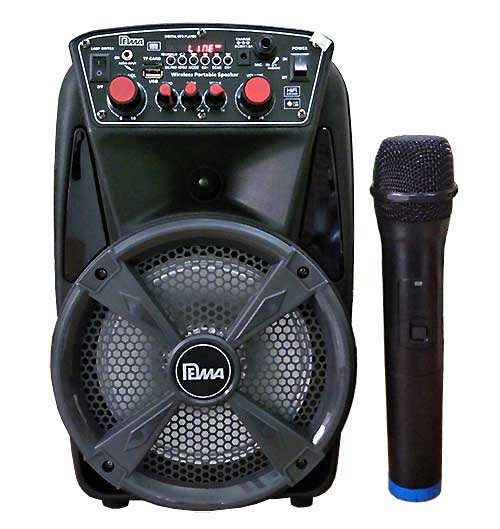 Loa bluetooth - karaoke DM-EN8A 