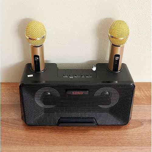 Loa bluetooth karaoke SDRD SD-301, kèm 2 mic không dây
