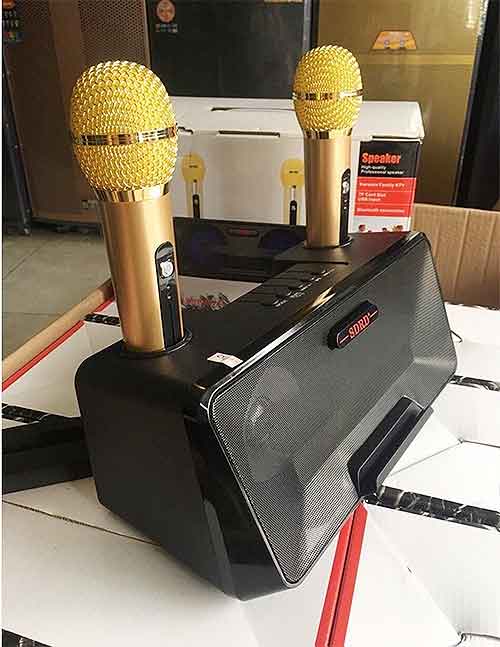 Loa bluetooth karaoke SDRD SD-302, kèm 2 micro không dây