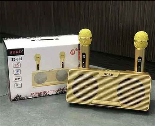 Loa bluetooth karaoke SDRD SD-302, kèm 2 micro không dây