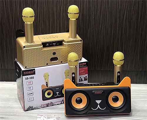 Loa bluetooth karaoke SDRD SD-305, kèm 02 mic không dây