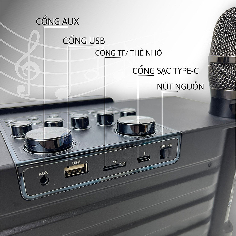 Loa bluetooth karaoke Su-Yosd YS-208, kèm 2 micro8