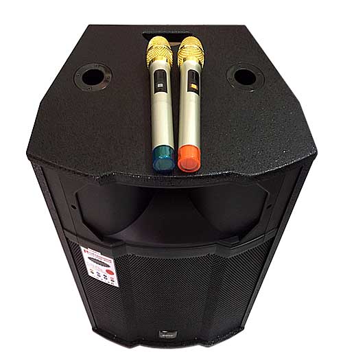 Loa di động Bose AV-910 pro, loa kéo karaoke thùng gỗ