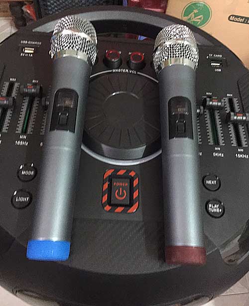 Loa di động Sony GTK15, loa karaoke 2 bass 4 tấc, max 700W