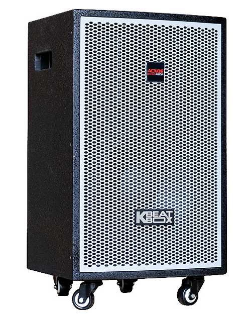 Loa điện ACNOS KDNet-3011, loa karaoke vỏ gỗ, RMS 300W