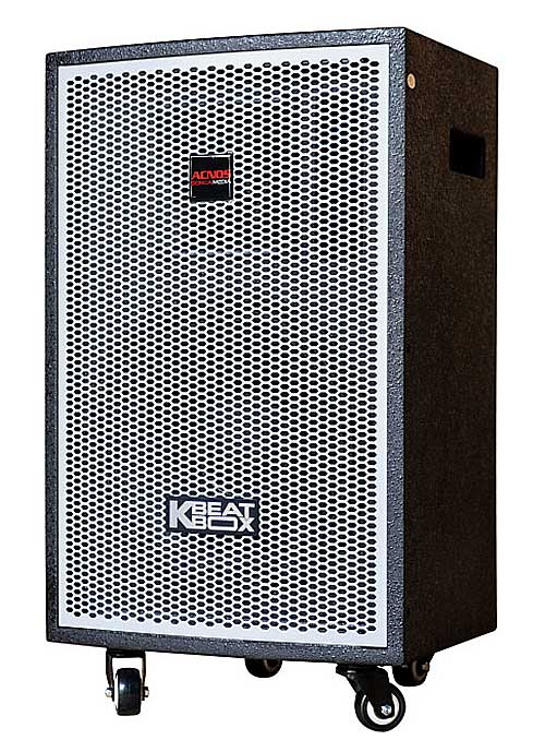 Loa điện ACNOS KDNet-3011, loa karaoke vỏ gỗ, RMS 300W