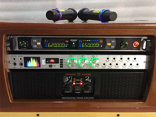 Loa điện MT-8900, loa hát karaoke công suất lớn, power max 1000W