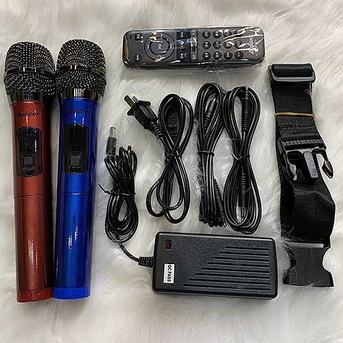 Loa karaoke bluetooth AVlight DX20-01, kèm 2 mic không dây