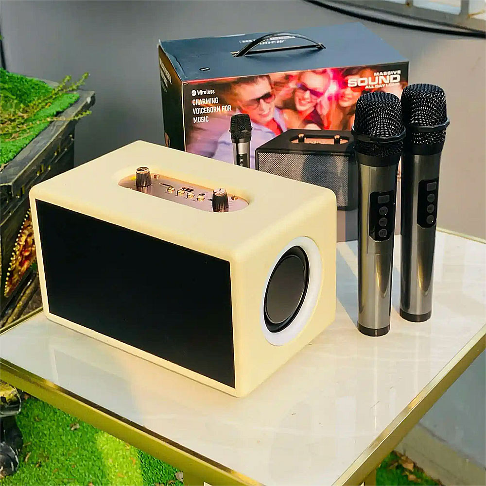 Loa karaoke bluetooth M2008, kèm 2 mic ko dây