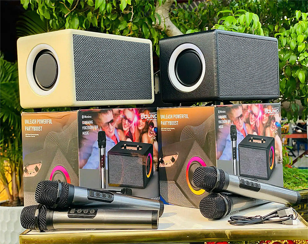 Loa karaoke bluetooth M2008, kèm 2 mic ko dây