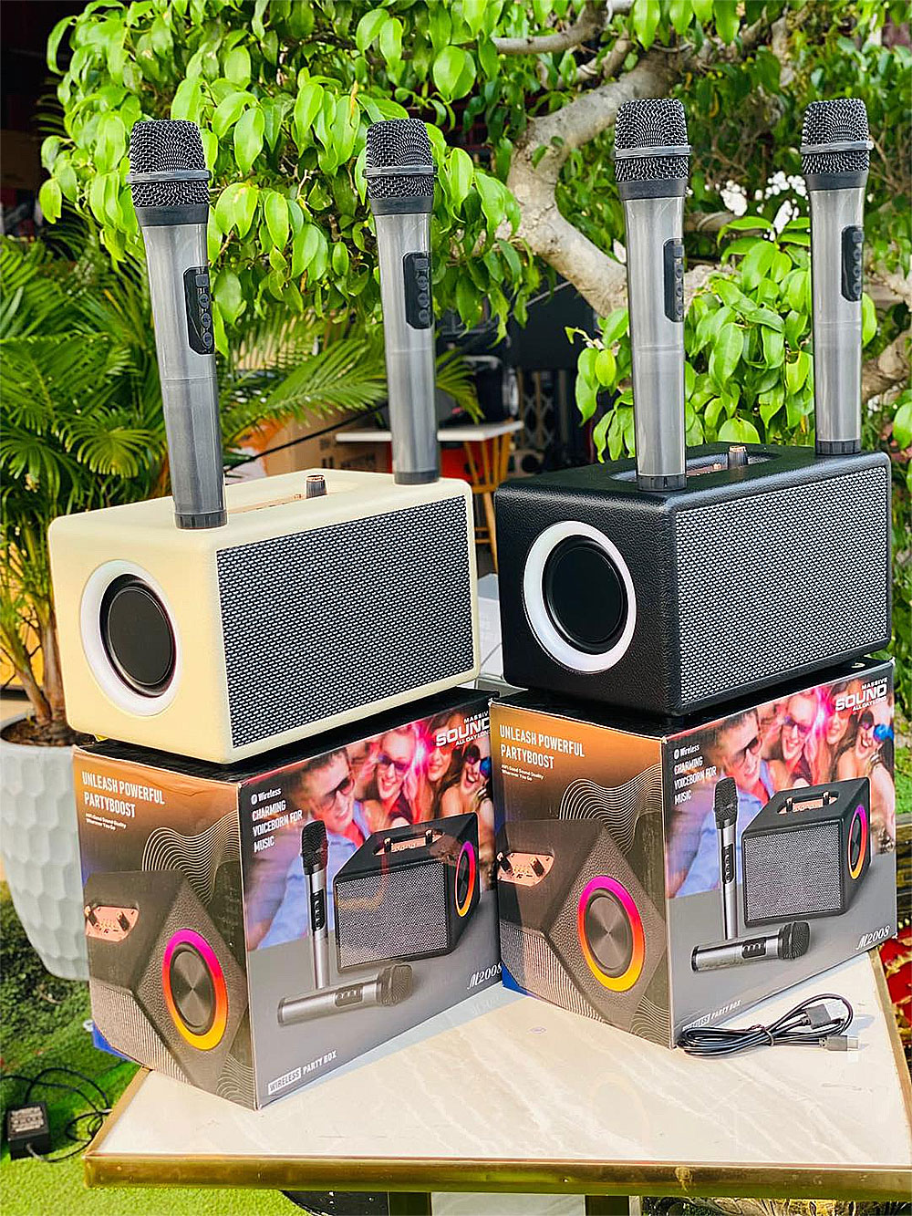 Loa karaoke bluetooth M2008, kèm 2 mic ko dây