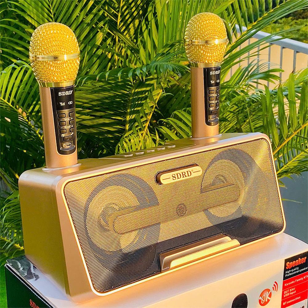 Loa karaoke bluetooth SDRD SD-301S, 2 mic ko dây