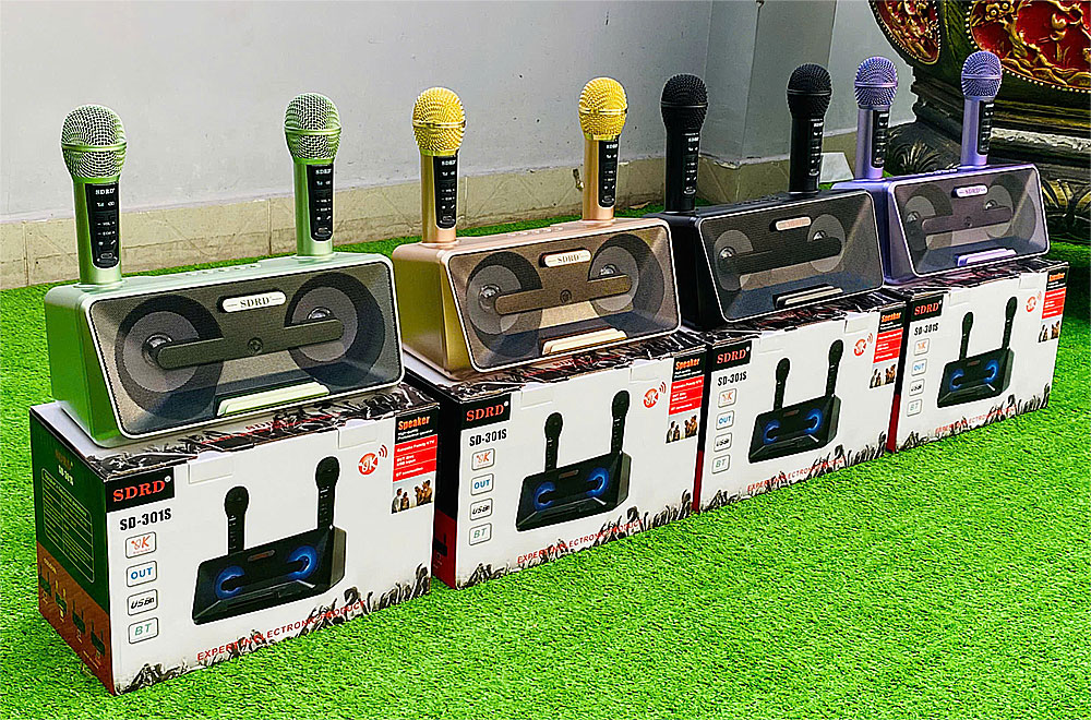 Loa karaoke bluetooth SDRD SD-301S, 2 mic ko dây