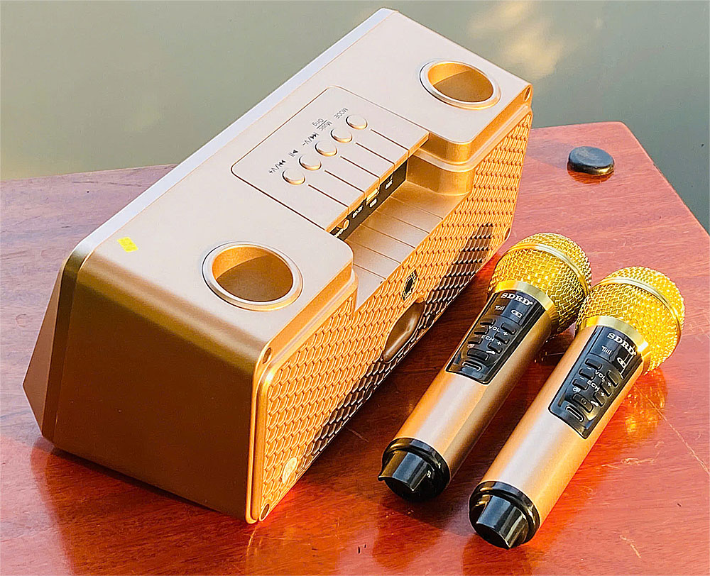 Loa karaoke bluetooth SDRD SD-301S, 2 mic ko dây