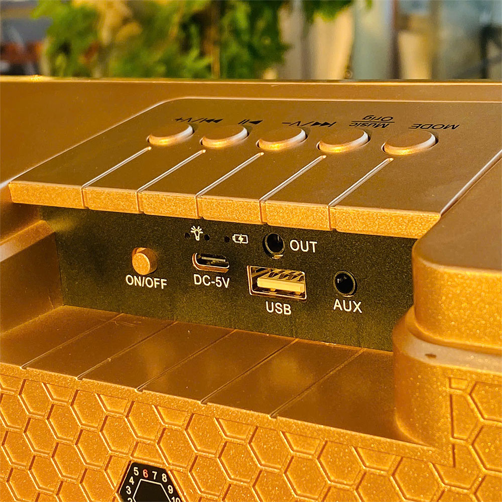 Loa karaoke bluetooth SDRD SD-301S, 2 mic ko dây