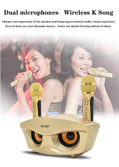Loa karaoke bluetooth SDRD SD-306, kèm 2 micro không dây