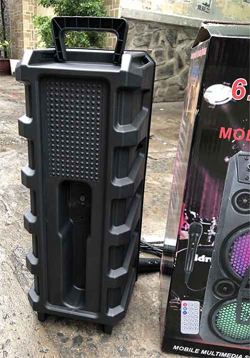 Loa karaoke bluetooth W606, loa 2 bass, công suất 50W