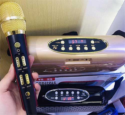 Loa karaoke bluetooth YS33, có dây đeo vai & 2 mic không dây