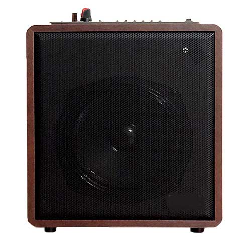 Loa karaoke bluetooth Zansong S88, vỏ bằng gỗ, công suất 35W