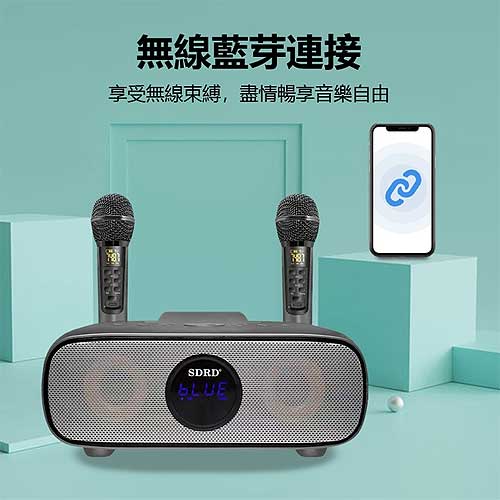 Loa karaoke mini SDRD SD-316, dùng 2 mic ko dây