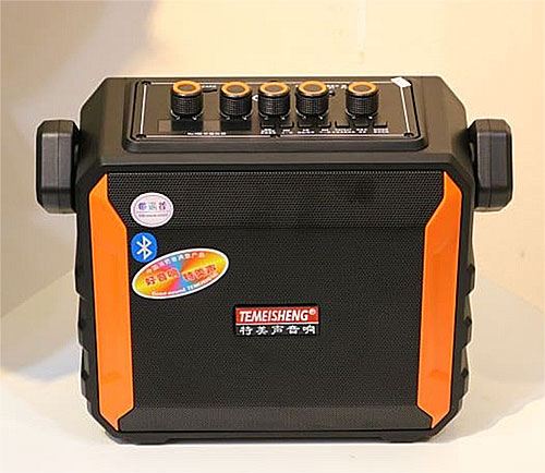 Loa karaoke mini Temeisheng A528, hàng nhập khẩu, kèm 1 mic