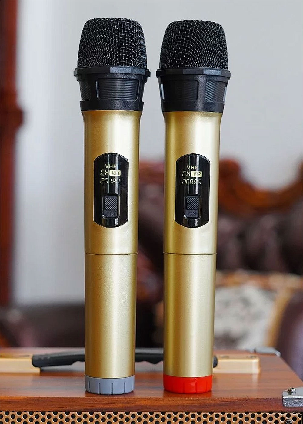 Loa karaoke xách tay BK51, 2 đường tiếng