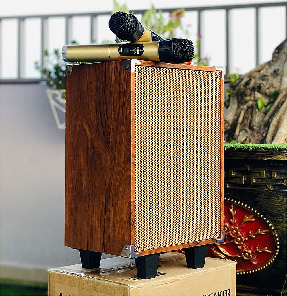 Loa karaoke xách tay BK51, 2 đường tiếng