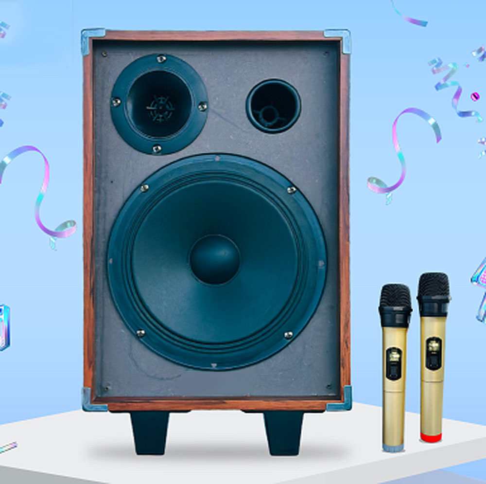 Loa karaoke xách tay BK51, 2 đường tiếng
