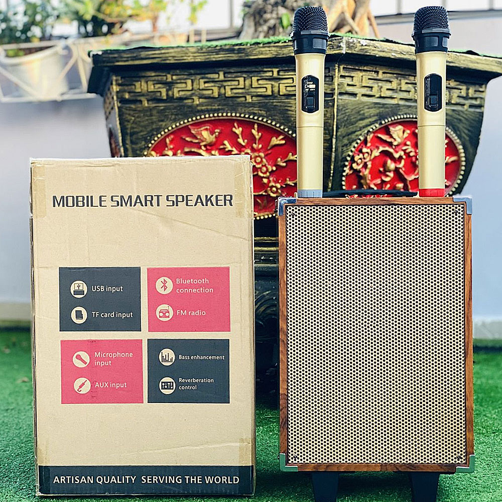 Loa karaoke xách tay BK51, 2 đường tiếng