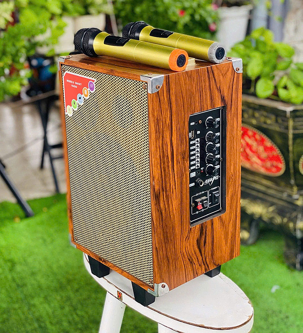 Loa karaoke xách tay BK51, 2 đường tiếng