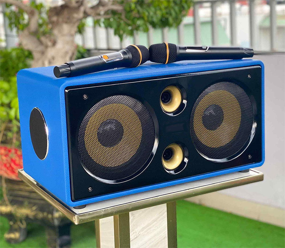 Loa karaoke xách tay DK38, 6 đơn vị loa