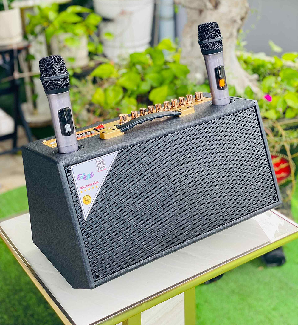 Loa karaoke xách tay S6Pro, 3 đường tiếng