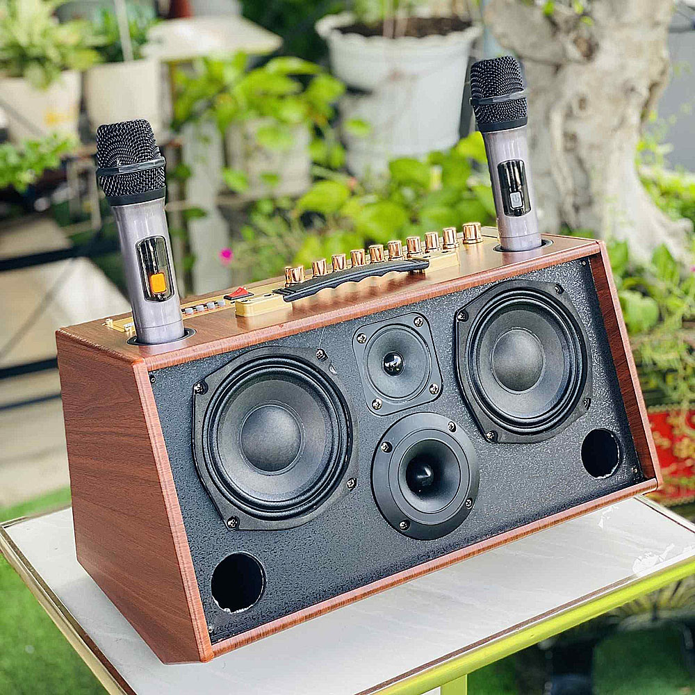 Loa karaoke xách tay S6Pro, 3 đường tiếng