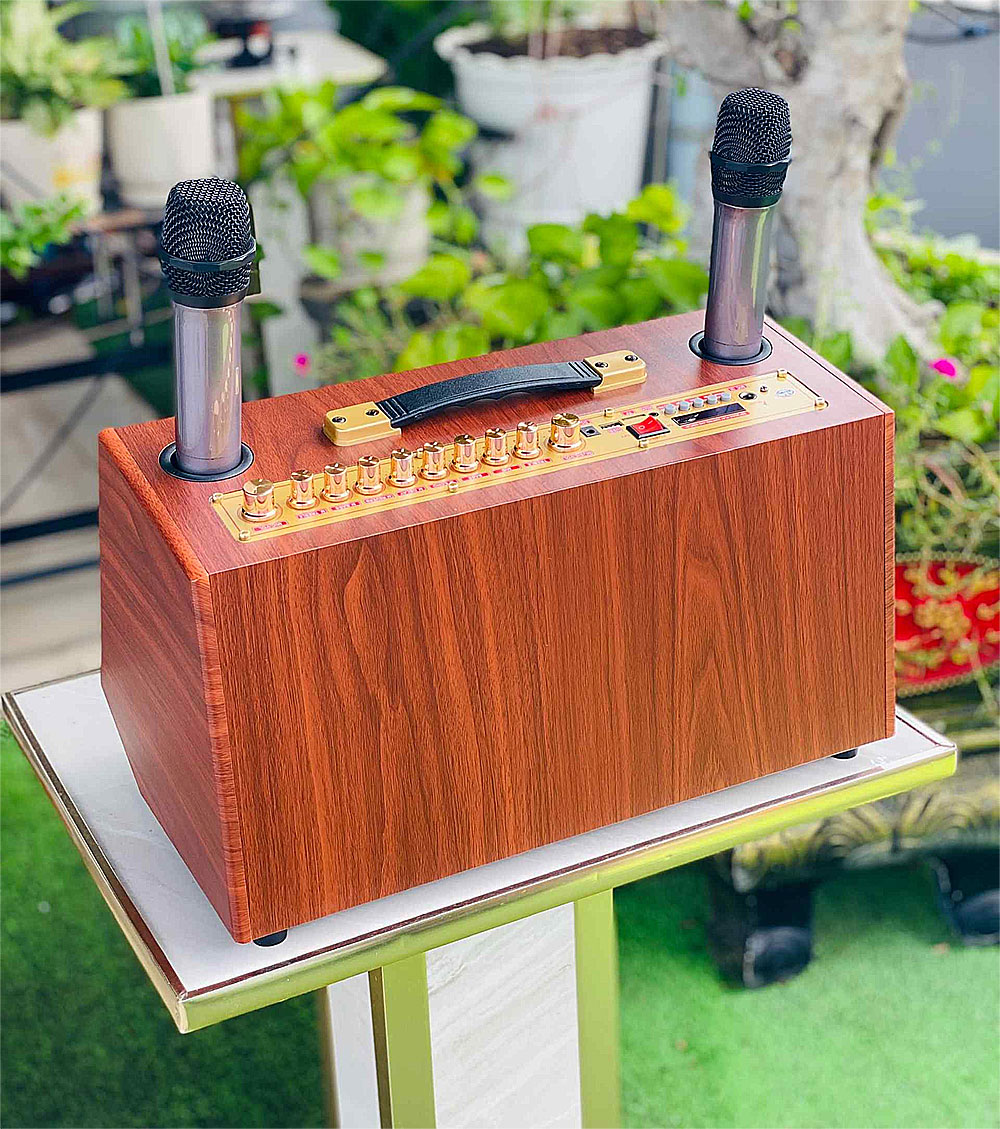 Loa karaoke xách tay S6Pro, 3 đường tiếng