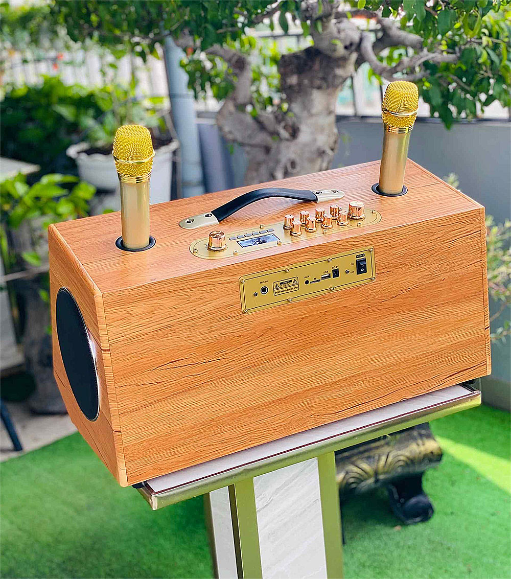 Loa karaoke xách tay S8Pro, bass đôi 20