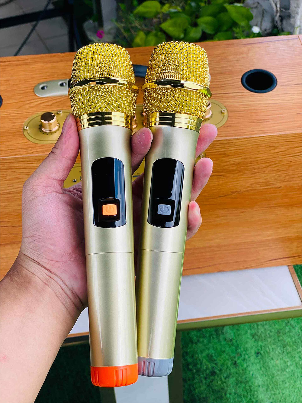 Loa karaoke xách tay S8Pro, bass đôi 20