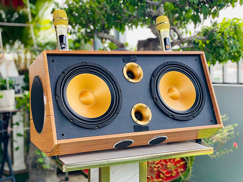Loa karaoke xách tay S8Pro, bass đôi 20