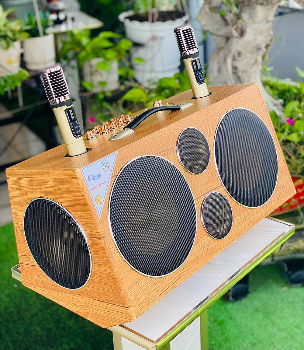 Loa karaoke xách tay S9Pro, 2 bass 25