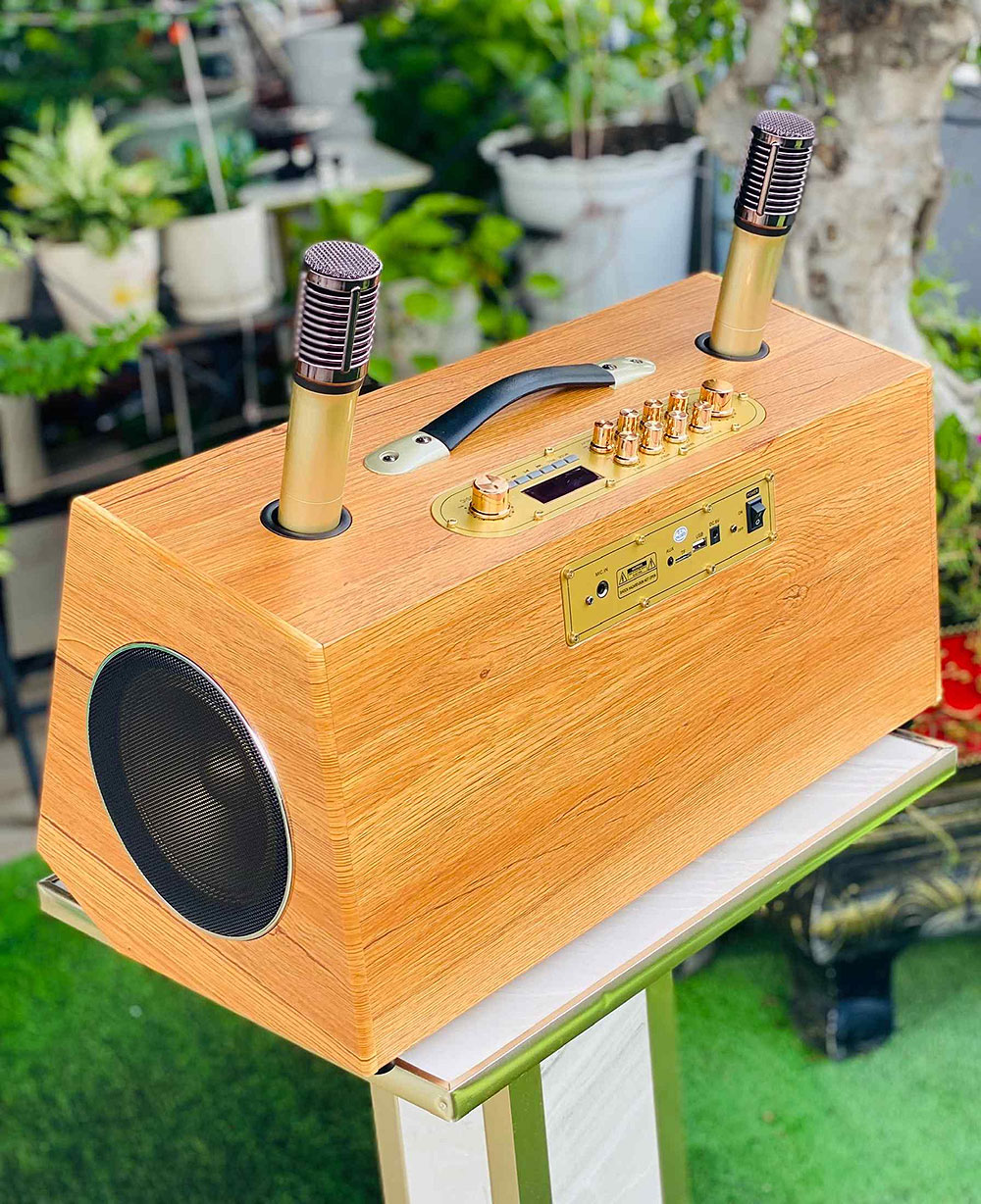 Loa karaoke xách tay S9Pro, 2 bass 25