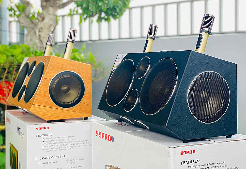 Loa karaoke xách tay S9Pro, 2 bass 25