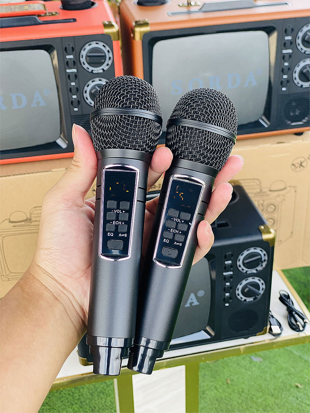 Loa karaoke xách tay Sorda SD-2107, kèm 2 micro