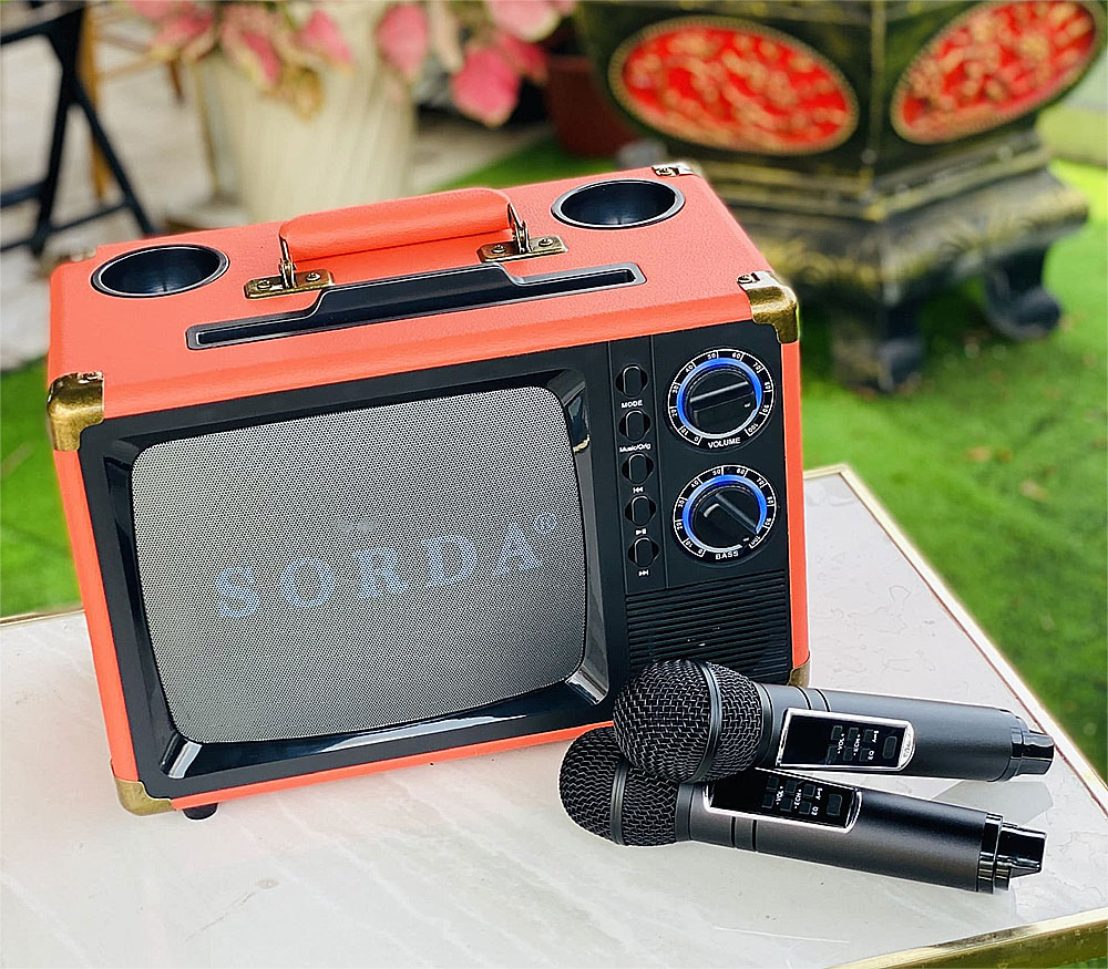 Loa karaoke xách tay Sorda SD-2107, kèm 2 micro