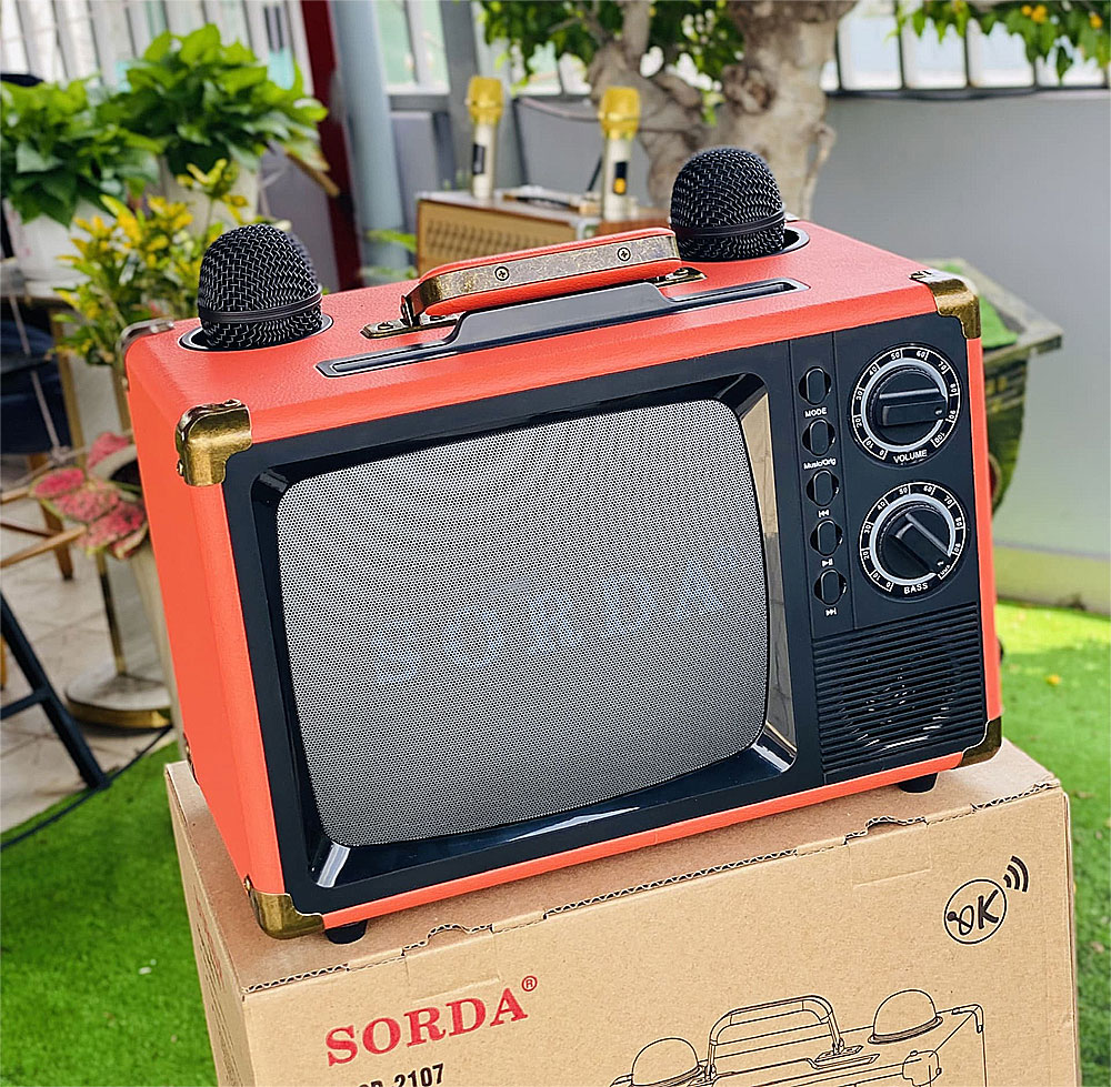 Loa karaoke xách tay Sorda SD-2107, kèm 2 micro