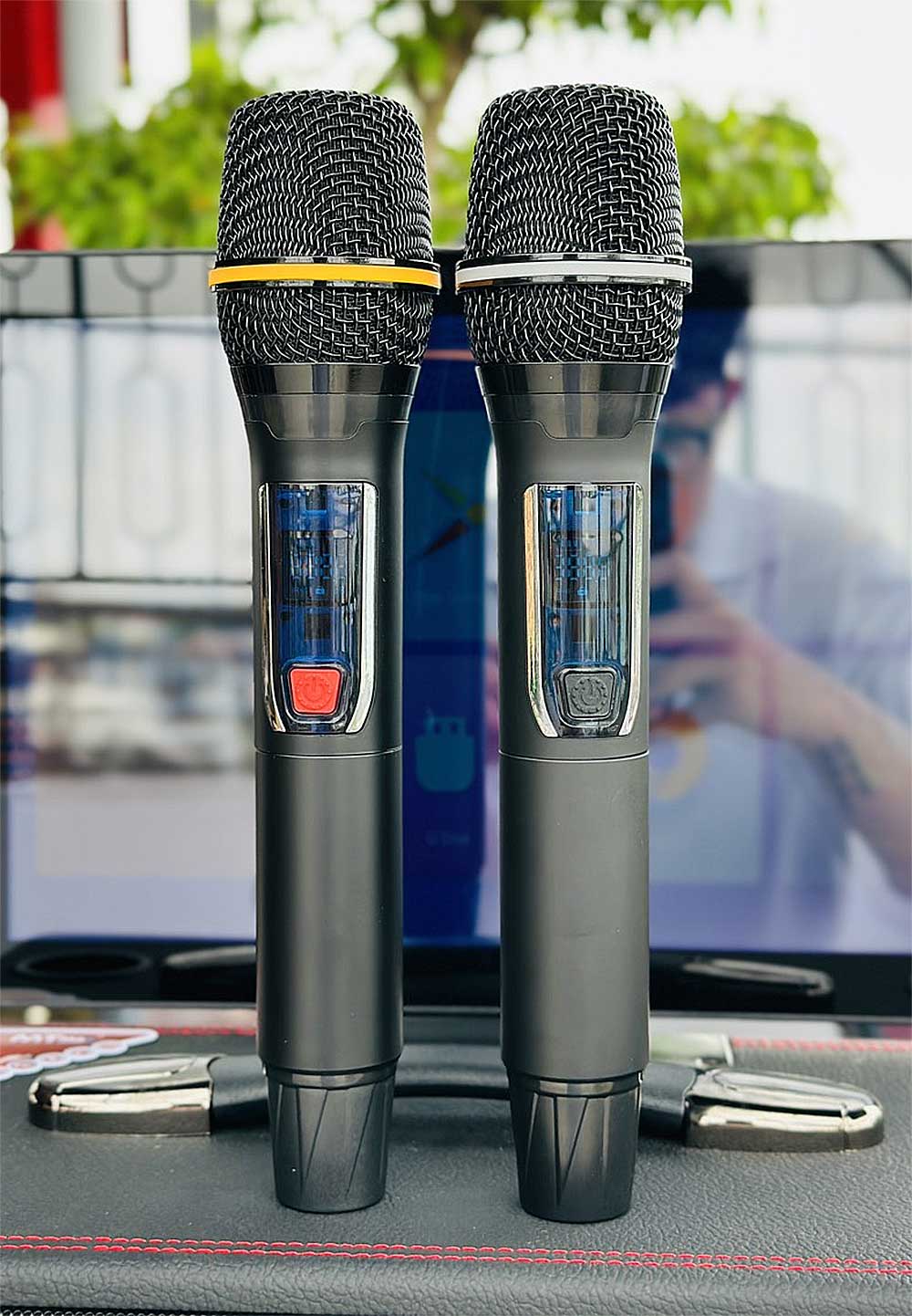 Loa karaoke xách tay T33Pro, màn hình 14 inch