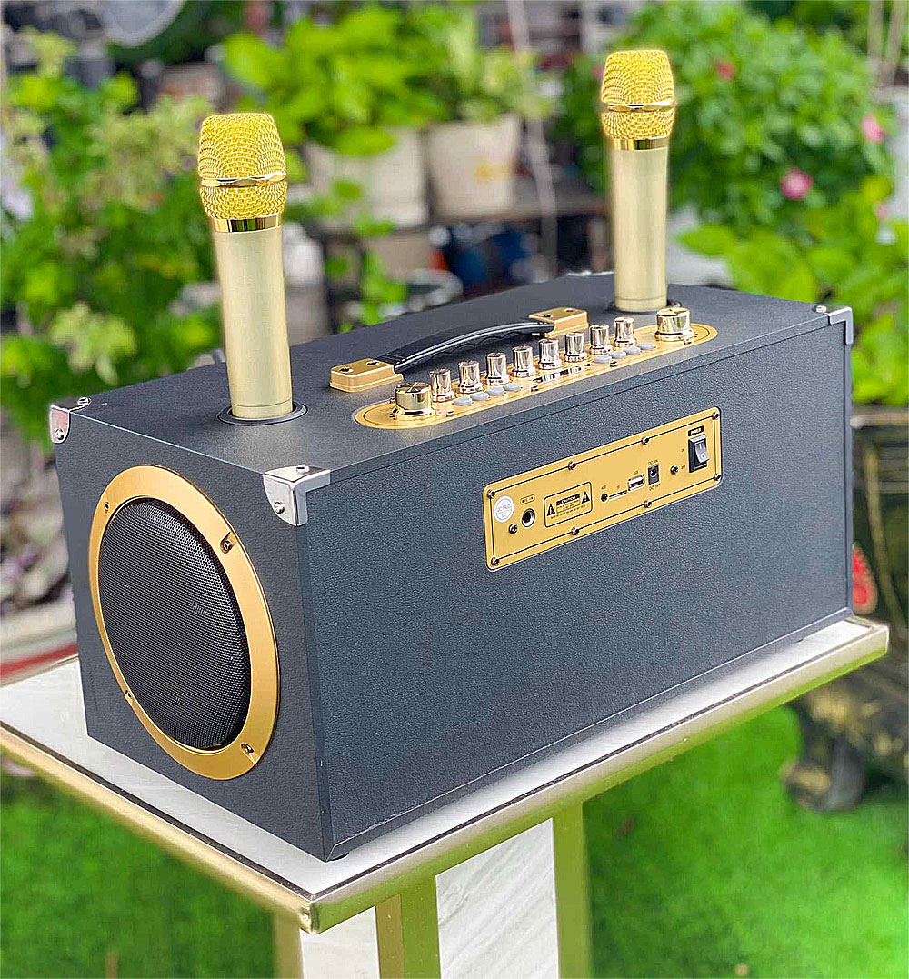 Loa karaoke xách tay V9 Promax, 2 mic ko dây