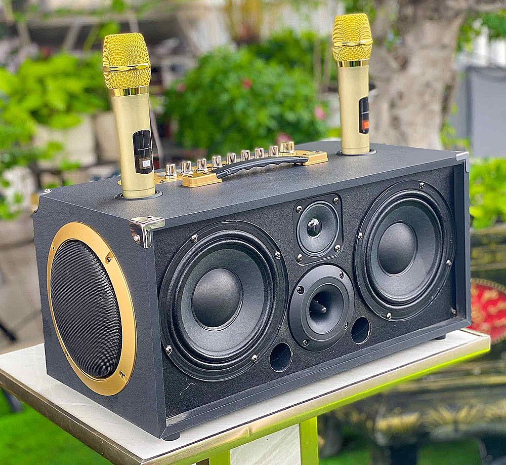 Loa karaoke xách tay V9 Promax, 2 mic ko dây